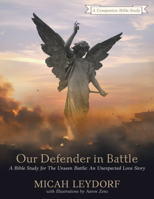 Our Defender in Battle